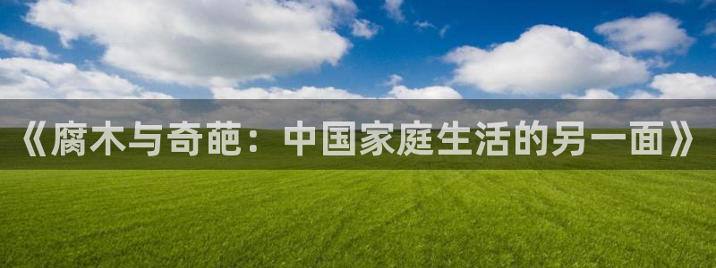 泡泡影院神马：《腐木与奇葩：中国家庭生活的另一面》