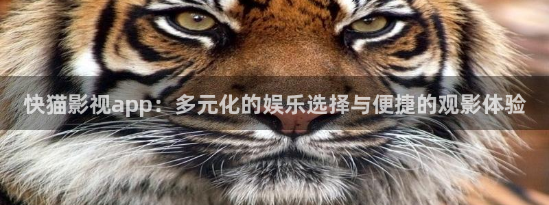 泡泡影院2023：快猫影视app：多元化的娱乐选择与便捷的观影体验