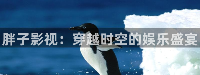 泡泡影视手机电影天堂：胖子影视：穿越时空的娱乐盛宴