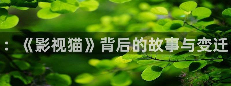 泡泡视频在线观看：：《影视猫》背后的故事与变迁
